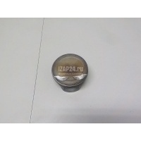 Поршень Ssang Yong Actyon New/Korando C 2010 1720300217