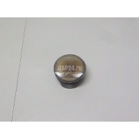 Поршень Ssang Yong Actyon New/Korando C 2010 1720300217