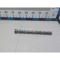 Распредвал впускной Ssang Yong Actyon New/Korando C 2010 1720501301