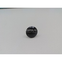 Крепеж Renault Kangoo 2008 8200050565
