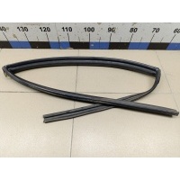 Уплотнитель стекла двери Chevrolet Epica 2006-2012 96836523