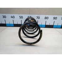 Пружина задняя Renault Duster 2012 550202720R
