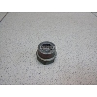 Гайка переднего амортизатора Renault Duster 2012 8200721659