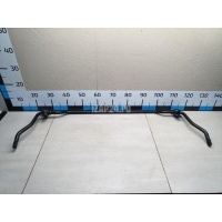 Стабилизатор передний Renault Duster 2012 546114265R
