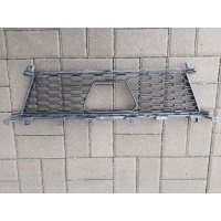 Заглушка (решетка) в бампер передний BMW 3 G20/G21 2021 51118079592, 8079592