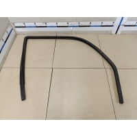 Уплотнитель стекла двери VAZ Chevrolet NIVA 21230610329901