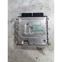 Блок управления двигателем Jaecoo J8 2024 131000104AA