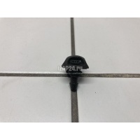 Форсунка омывателя лобового стекла Renault Duster 2012 289307214R