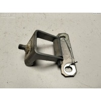 Петля крышки (двери) багажника Renault Scenic II (2003-2009) 2004 C270332