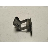 Петля крышки (двери) багажника Renault Scenic II (2003-2009) 2004 C270332