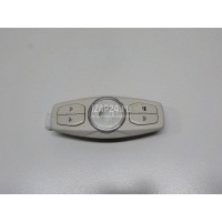Плафон салонный Ford Kuga (2012 - 2019) 2053618