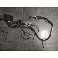 Проводка двигателя Jetour X90 2023 F013723015, F204302010FA