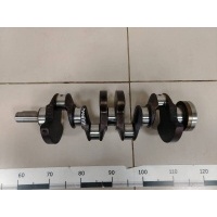 Коленвал SsangYong SsangYong Actyon 2005-2012 1610313001