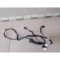 Проводка двери Kia Kia Rio 2 (JB) 2005-2011 916501G012