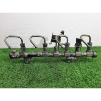 Топливная рампа Renault Scenic II (JM) 2003 - 2009 2007 0445214158,