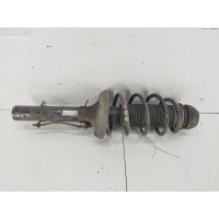 Стойка подвески передняя левая Audi A3 8L (1996-2003) 1999 1J0413031BH