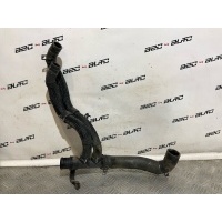 патрубок системы охлаждения Omoda C5 302000236AA