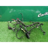 Проводка двигателя Smart Fortwo W451 2008 A4514400805