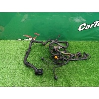 Проводка двигателя AUDI A1 8X 2013 03C971612BS