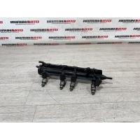 Рампа топливная AUDI A3 8P 2008 06A133317AS, 06A133317AS, 06A133317AC