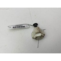 Гайка Opel Astra H 2004 24424603