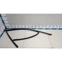 Уплотнитель стекла двери BMW X3 G01 2017 51337393426