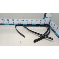 Уплотнитель стекла двери BMW X3 G01 2017 51357393448