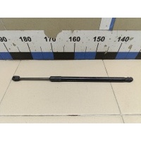 Амортизатор капота Exeed RX (M38T / T22) 2023> 554000486AA