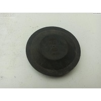 Крышка (заглушка) задняя фары левой Renault Scenic II (2003-2009) 2004 153874