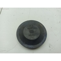 Крышка (заглушка) задняя фары левой Renault Scenic II (2003-2009) 2005 153874