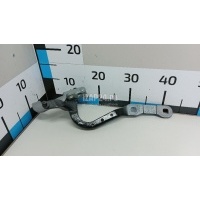 Петля двери багажника BMW X4 G02 2018 41007482677