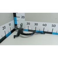 Петля двери багажника BMW X4 G02 2018 41007482678