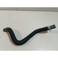 Патрубок Renault Arkana 2019 924005619R
