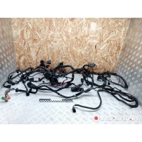 Проводка двигателя Volkswagen Golf 4 2004 1J0971615K,1J0971615BE