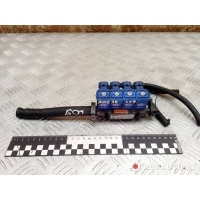 Форсунка газовая Peugeot 307 2005 U100022299,K904502,110R000140,67R010199,10R021368