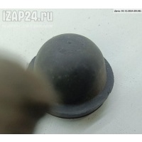 Крышка (заглушка) задняя фары левой Volkswagen Passat B5+ (GP) 2003 154426