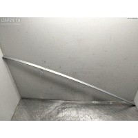 Молдинг крыши Renault Scenic II (2003-2009) 2004 8200141506-507