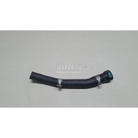 Патрубок Hyundai-Kia Carnival 2020 256122R500