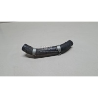 Патрубок Hyundai-Kia Carnival 2020 256402R000
