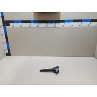 Катушка зажигания Hyundai-Kia GV80 2020 273002T000