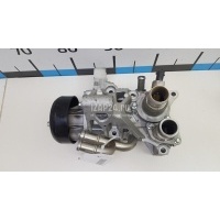 Насос водяной (помпа) Chery Exceed TXL 2020 F4J161307100