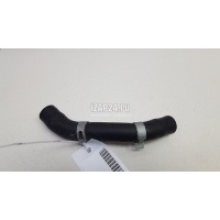 Патрубок Hyundai-Kia Tucson 2021 256402R000