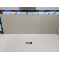 Болт Hyundai-Kia GV80 2020 55117J5000