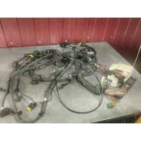 Проводка двигателя BMW 3 series F30 2015 12518516259, 12518516259, 12518516258, 12518586571, 12518586572, 12518585935, 8586489, 8516259