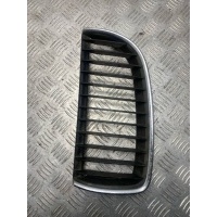 Решетка радиатора BMW 3 E90/E91/E92/E93 2009 7120007