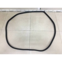 Уплотнитель проема двери задней правой Nissan Nissan Tiida (C11) 2007-2014 76923ED900