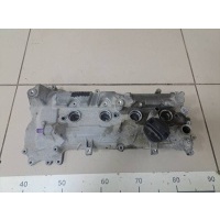 Крышка головки блока (клапанная) Renault Renault Duster 2012> 132656341R