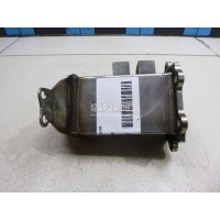 Радиатор системы EGR VAG A6 [C6,4F] (2004 - 2011) 059131511