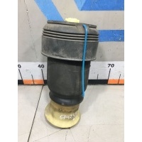 Задняя пневмоподушка BMW X5 E70 BMW 37126790078 37126790078