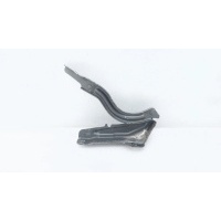 Петля капота Hyundai Santa Fe TM 2020 66920S1000